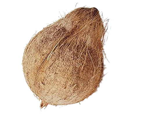 Coconut