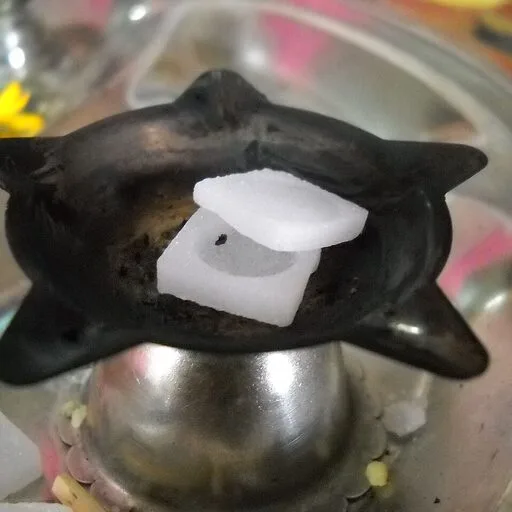 Pure Bhīmsenī Camphor
