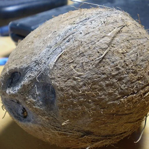 Coconut Halves (Whole Dry)
