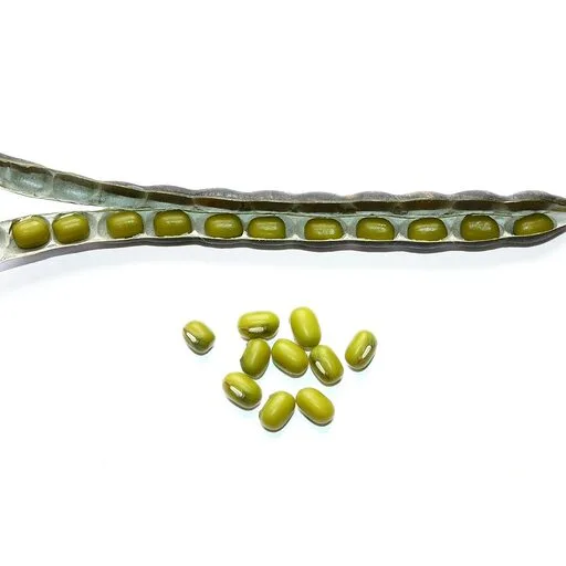 Whole Moong Dāl