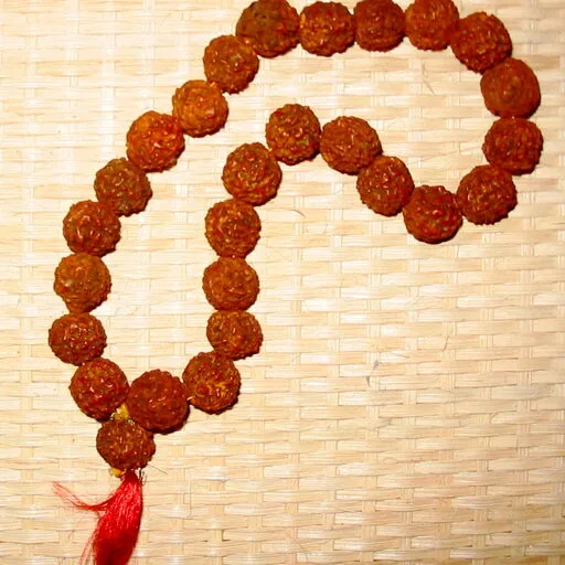 Pañcamukhī Rudrākṣa Mālā