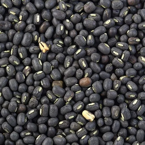 Whole Urad Dāl